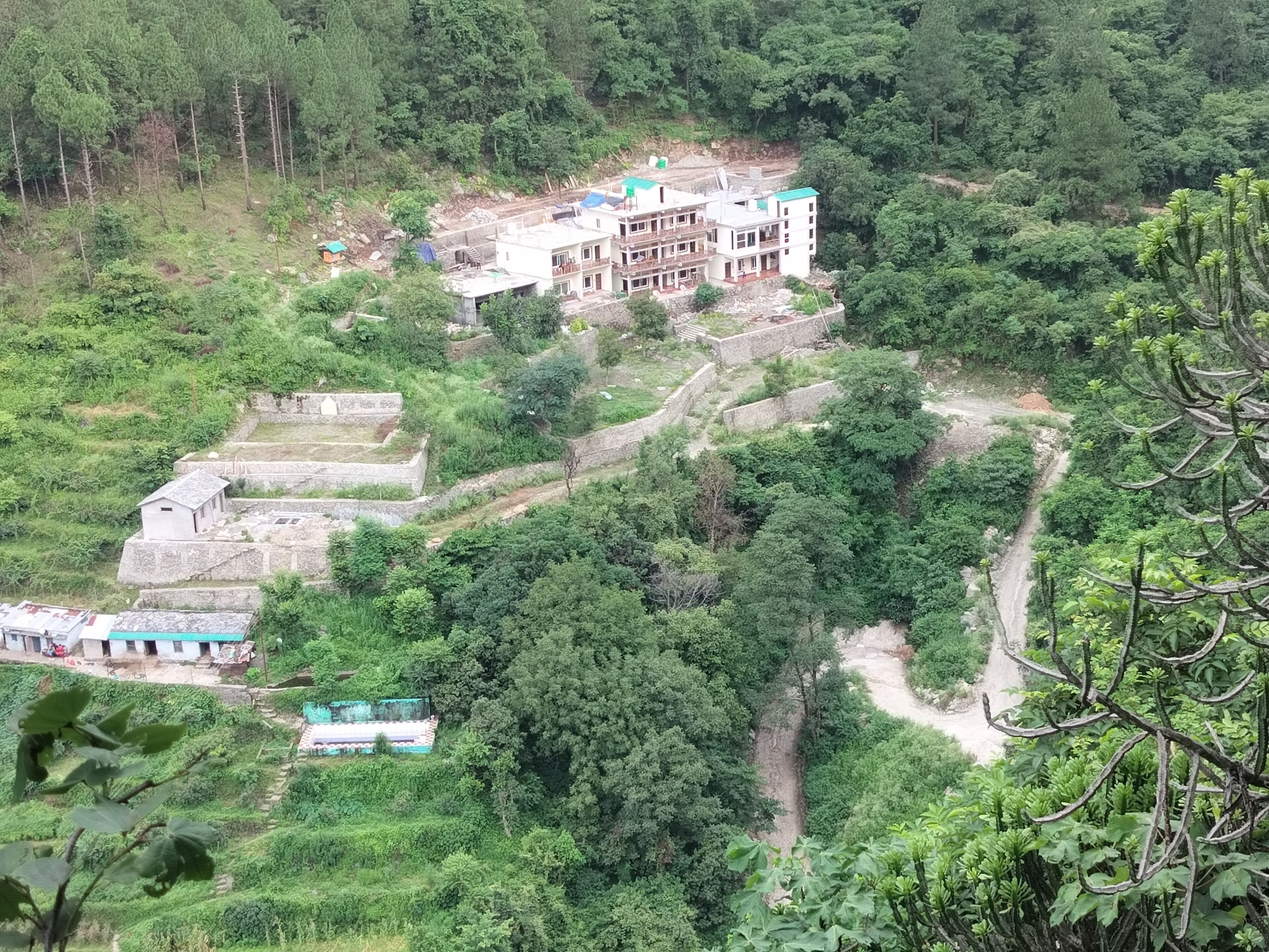 A multi-story building with a green roof, surrounded by dense greenery and terraced structures.