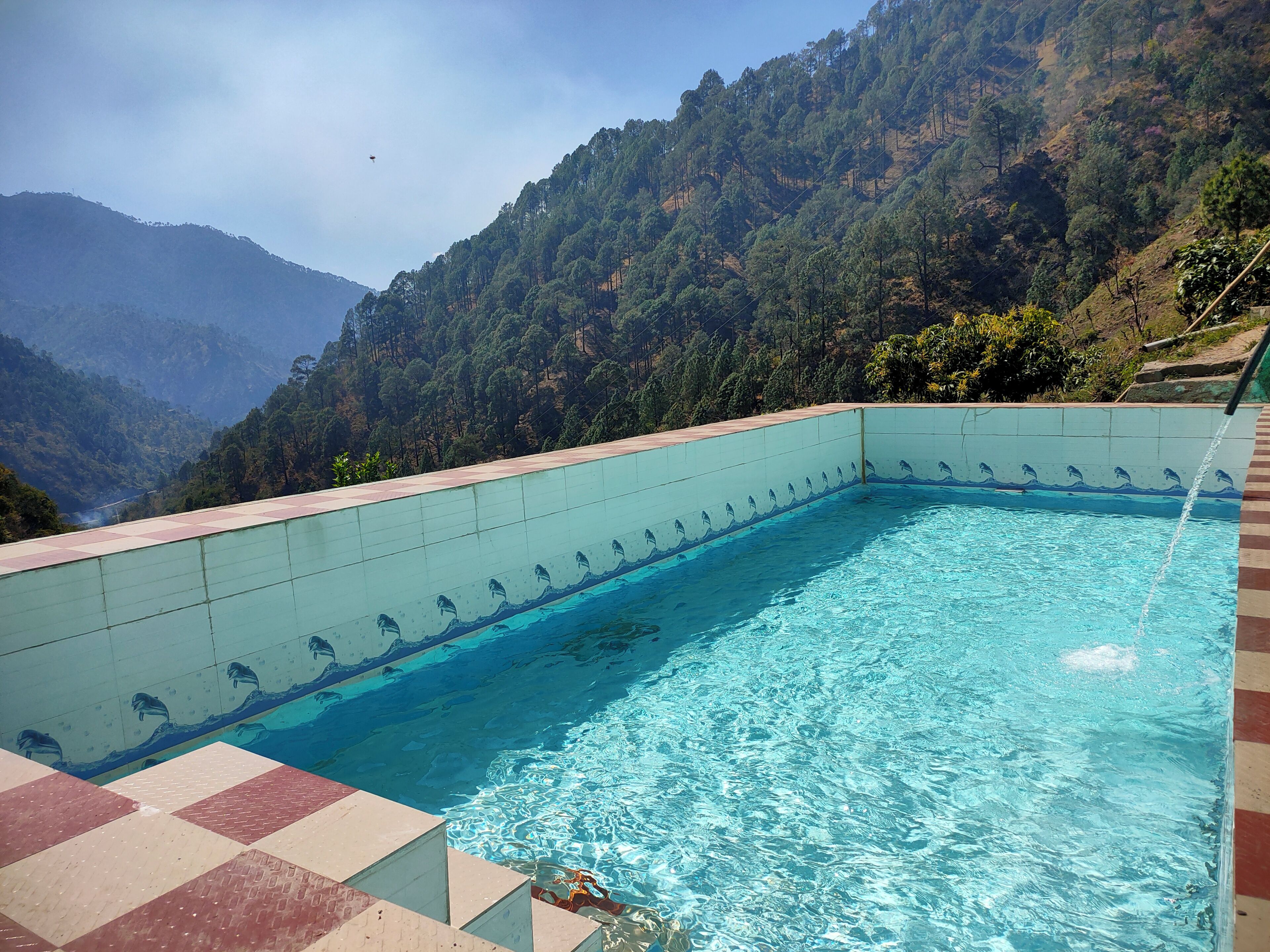 A swimming pool with a tiled edge and dolphin designs, surrounded by a hilly landscape.