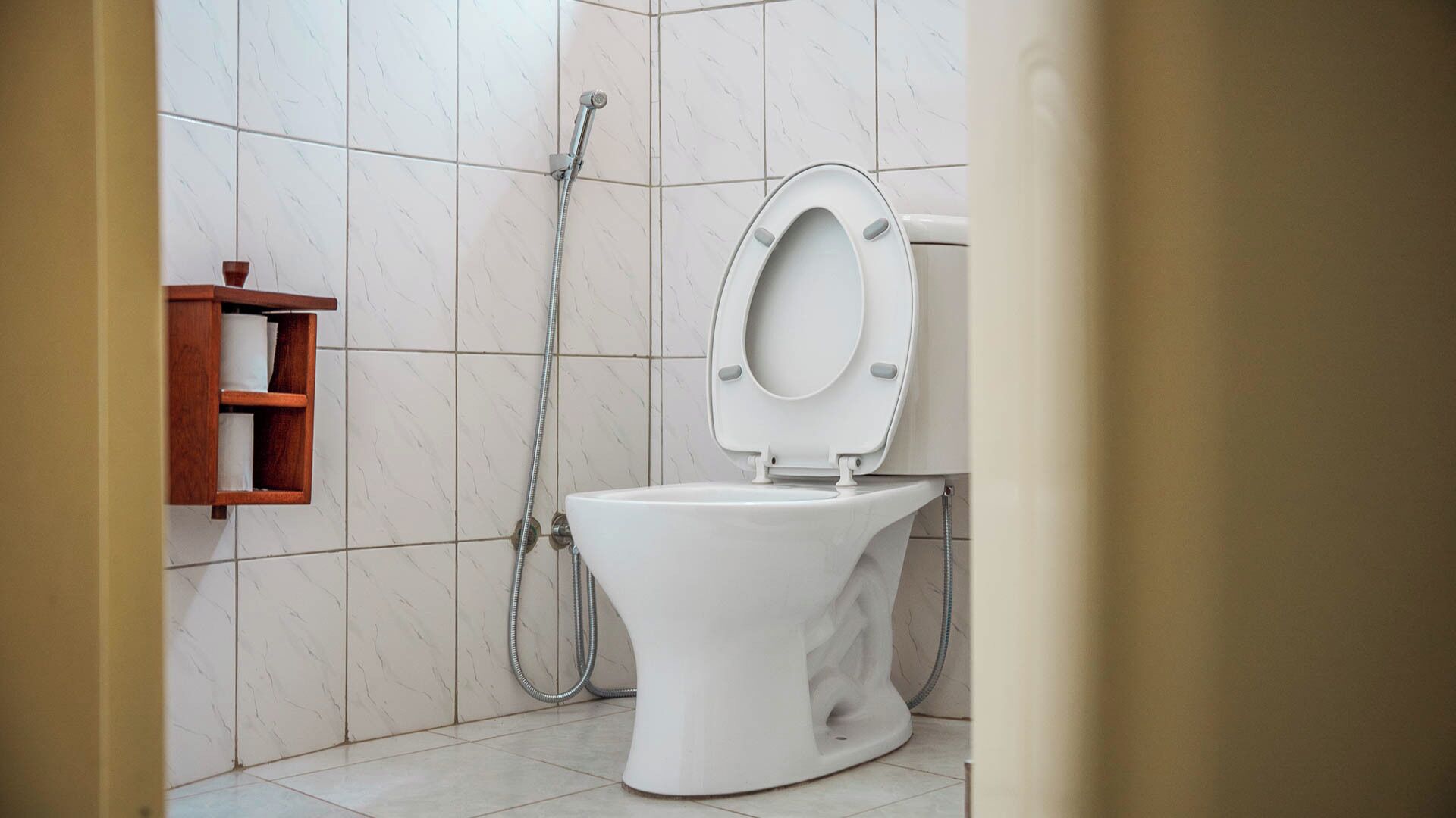 A bathroom with a toilet, a shower, and a wooden shelf with towels.