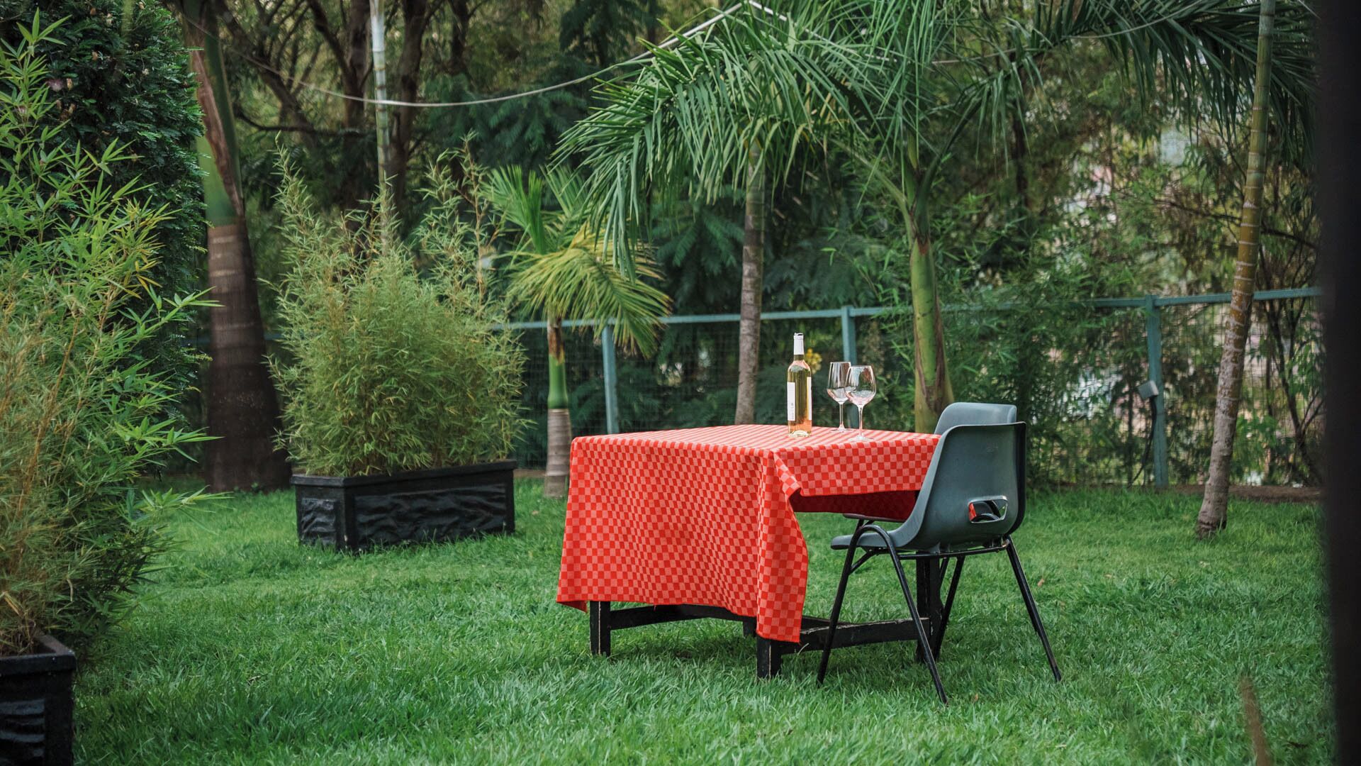 A table with a checkered tablecloth, a bottle, and a glass in a grassy outdoor area with trees and a fence.