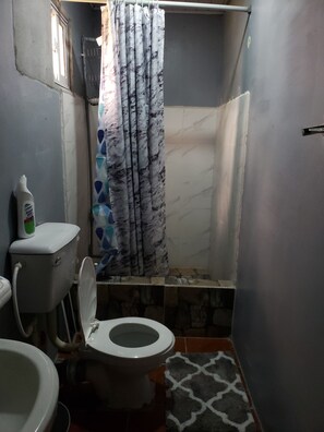 Regadera, toallas, jabón, papel de baño 