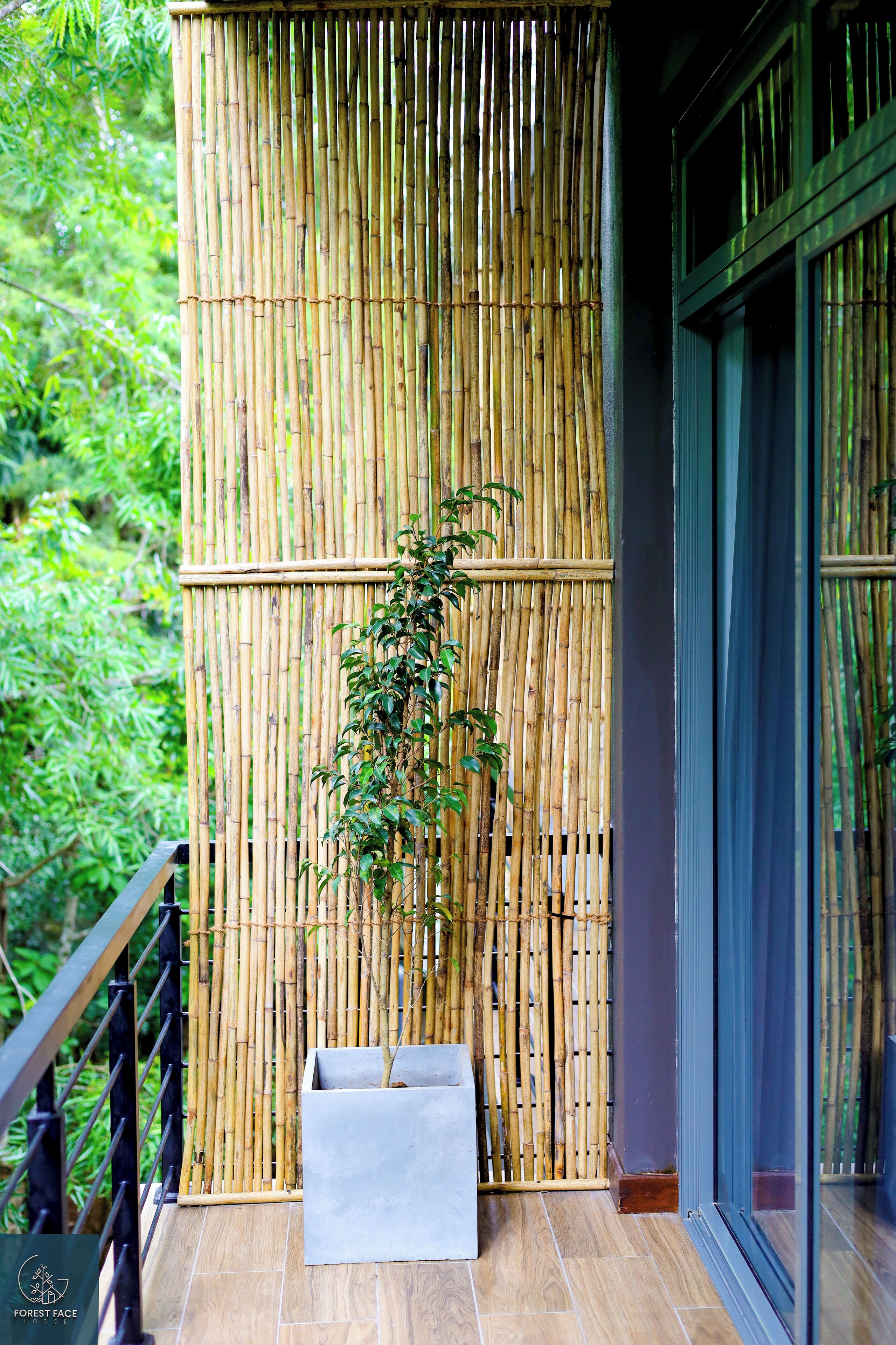 Deluxe Double Room, 1 Queen Bed, Balcony, Lake View