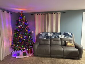 Smart TV, fireplace, DVD player, books