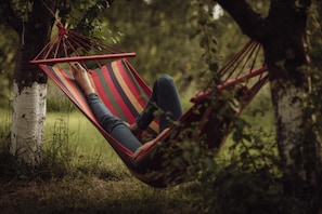 A hammock tied between trees in a natural setting.