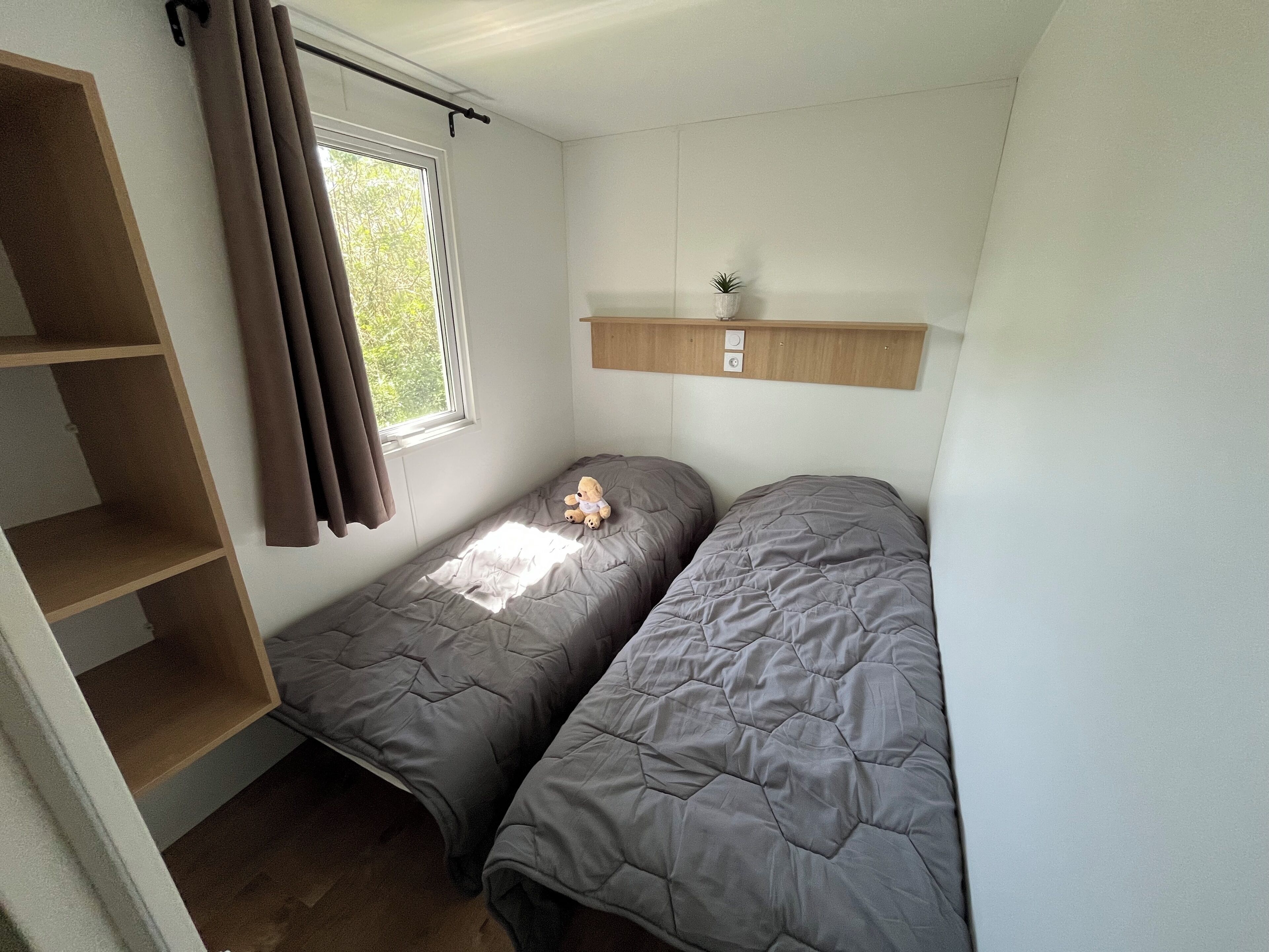 A small room with two beds, a window with curtains, a shelf with a plant, and a wooden shelf unit.