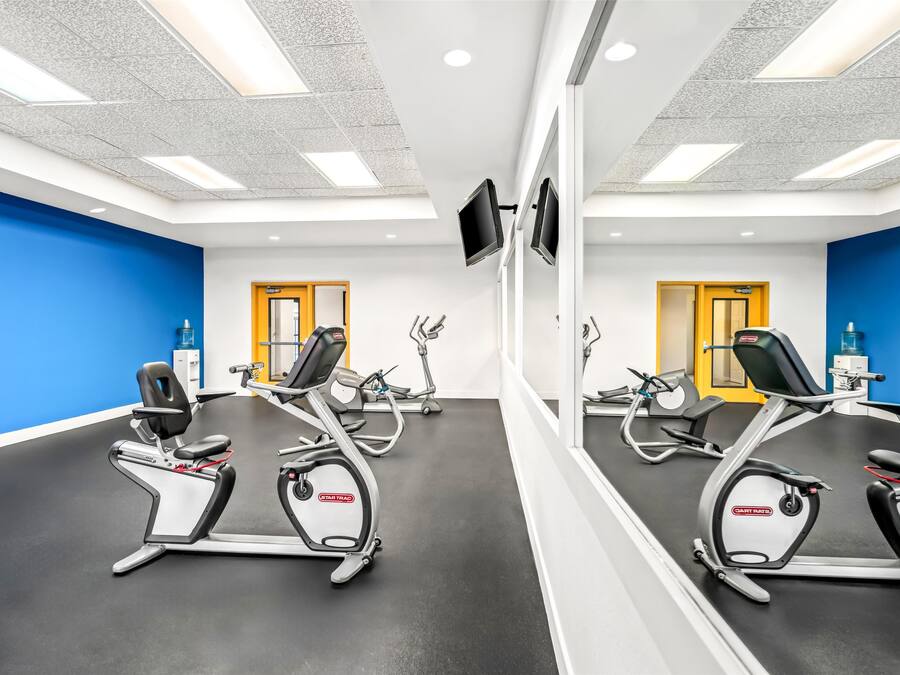 Une salle de sport équipée de nombreux appareils de cardio, dotée d’un mur entièrement recouvert de miroirs et arborant une décoration aux couleurs bleu et blanc.