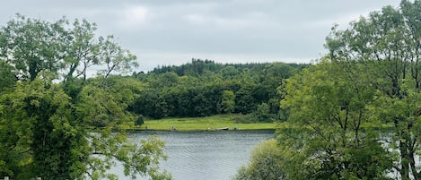 開放式客房 | 泳池