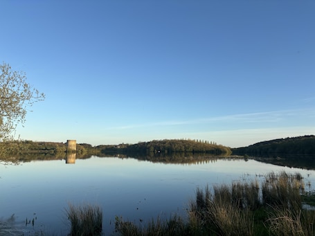 Studio | Property grounds. Private Small Detached Room With Bathroom