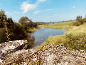 Studio | Property grounds - Private Small Detached Room With Bathroom (Cavan)