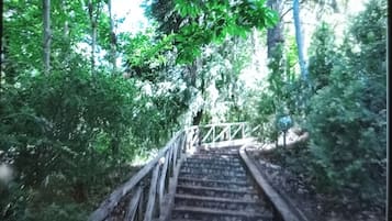 Aussenbereich