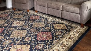 A living room with a large patterned rug, two grey sofas, a floor lamp, and a green curtain. - 2Bed 1Bath 1930s KC Home off I-35 ~ Walking Distance to Coffee & Breakfast (Kansas City)