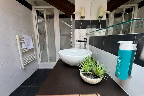 Family Suite | Bathroom | Hair dryer, towels, soap, shampoo