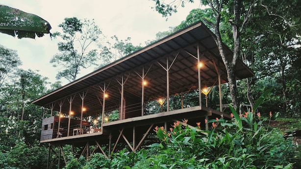 Una estructura de madera con balcón, rodeada de abundante vegetación.