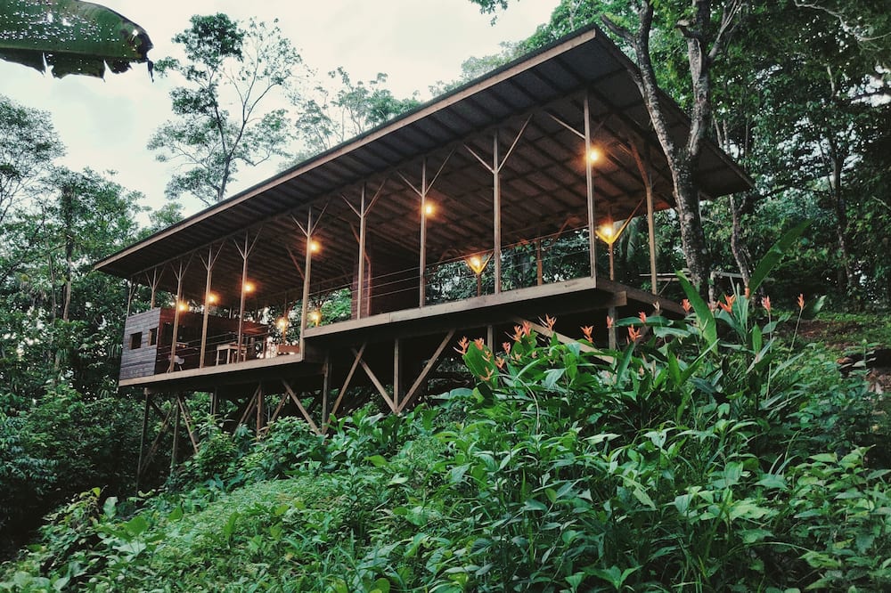 ataraxia bocas del toro