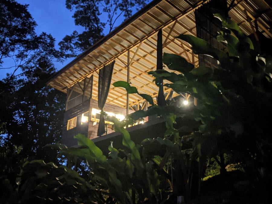 A modern building with a large glass facade and a metal roof, surrounded by lush greenery.