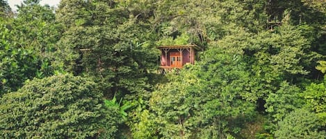 Cabane Confort, balcon, vue océan | 1 chambre, Wi-Fi gratuit