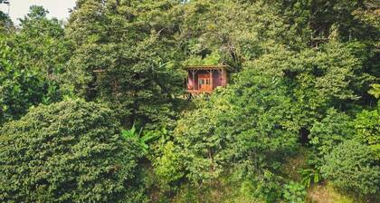 ataraxia bocas del toro