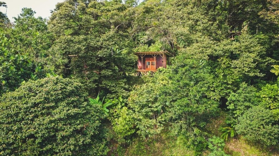 ataraxia bocas del toro
