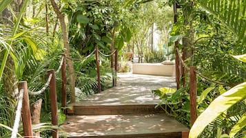 Departamento | Áreas de la propiedad