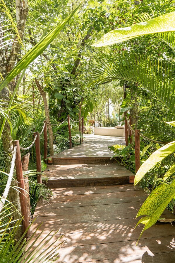 Apartment | Property grounds - oasis yaaxlum (Tulum)