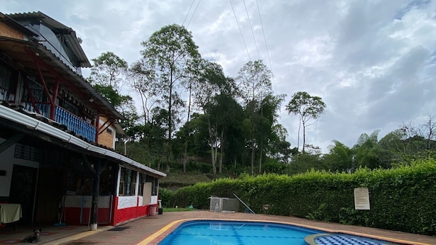 Hồ bơi ngoài trời 