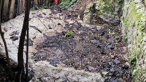 Phòng