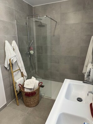 Shower, hair dryer, towels