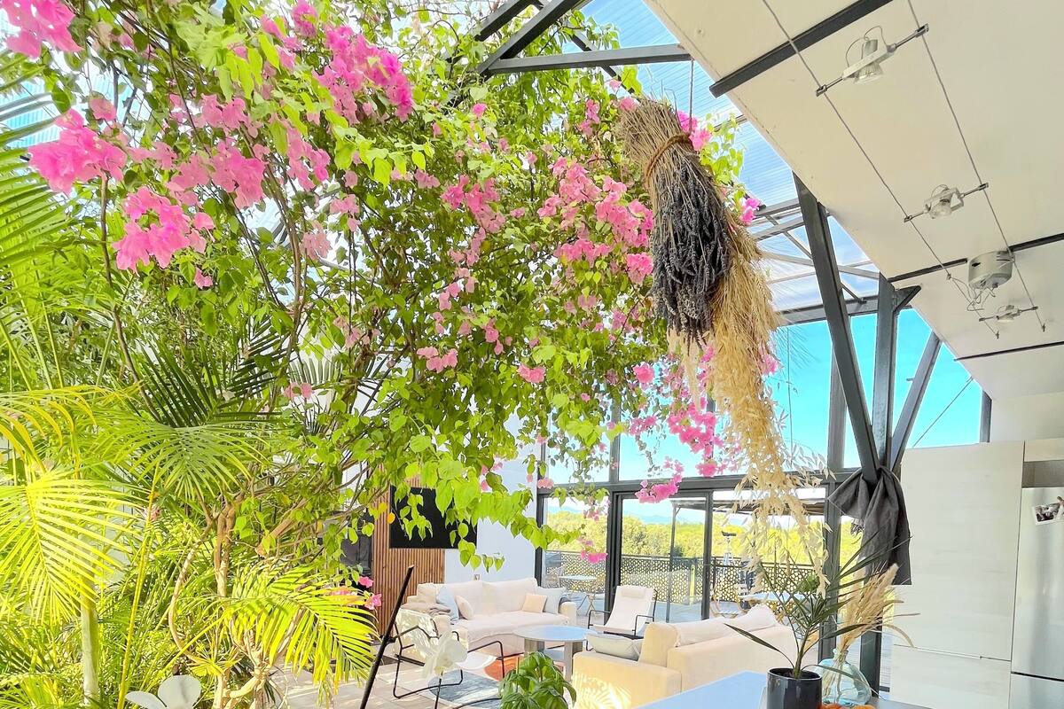 A modern interior with a glass ceiling, a dining area with a table set with fruits and drinks, and a view of a lush garden outside.
