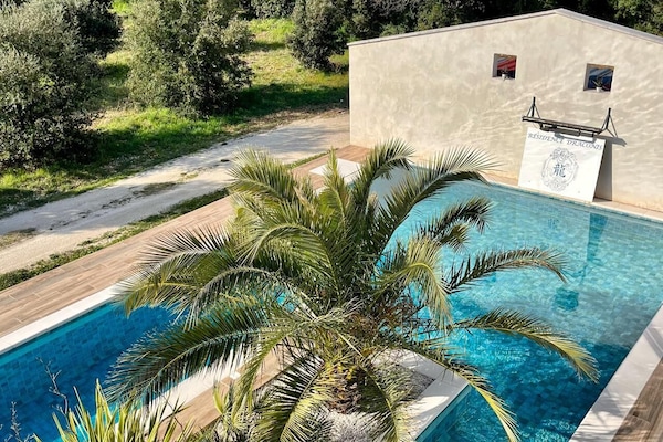 AuĂenpool, LiegestĂŒhle