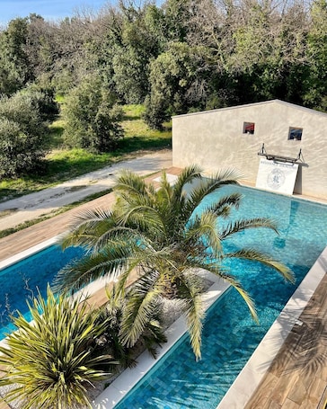 Outdoor pool, sun loungers