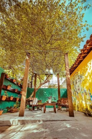 Property grounds - Cosmopolitan Hostel (Recife)