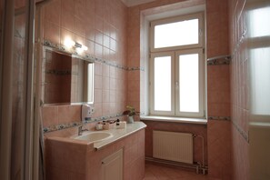 Shower, hair dryer, towels, toilet paper