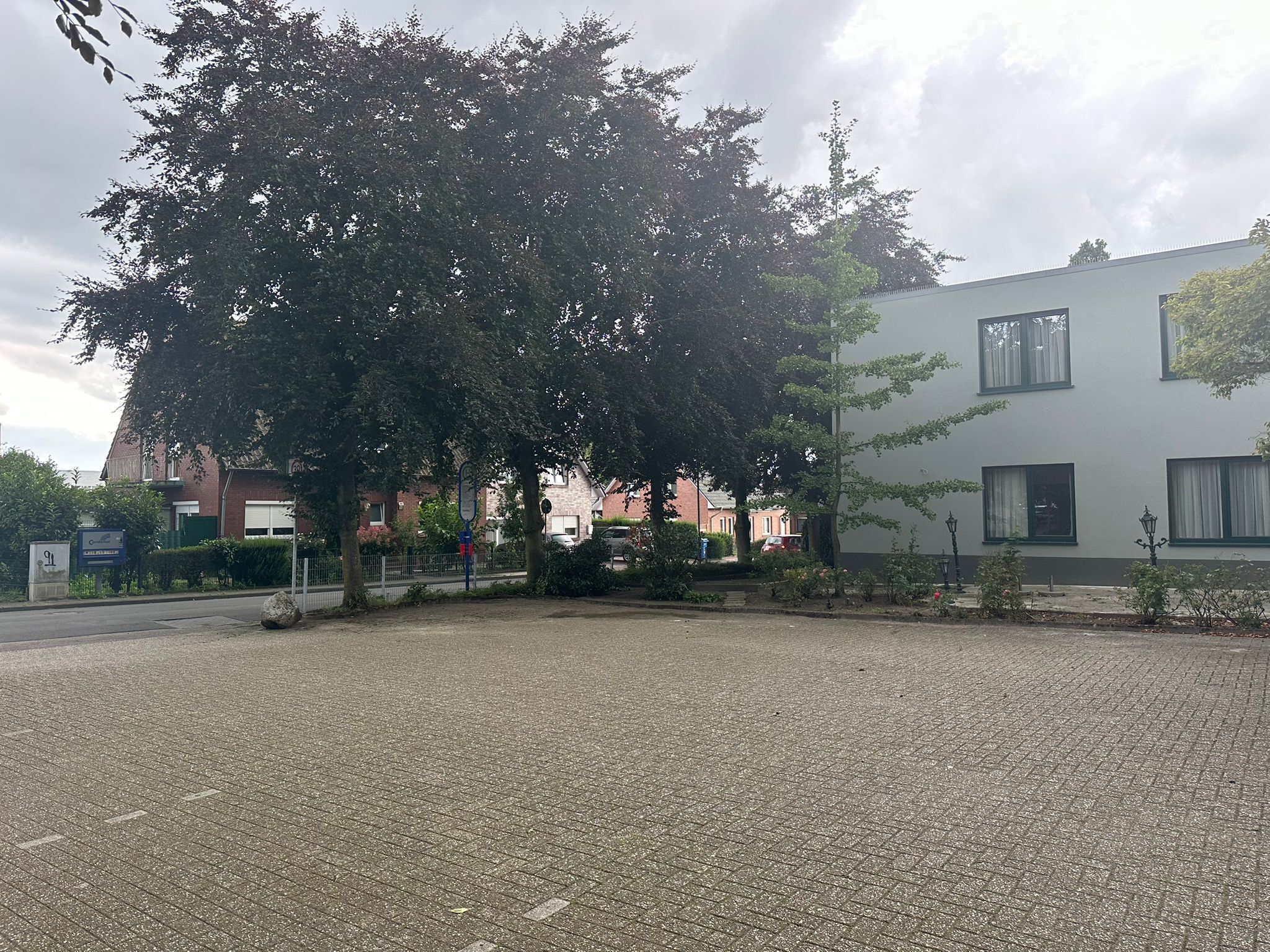 En asfalteret gårdsplads med et stort træ, en bygning med mange vinduer, og et skilt.
