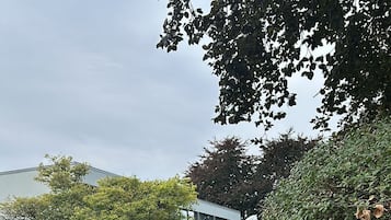 園景