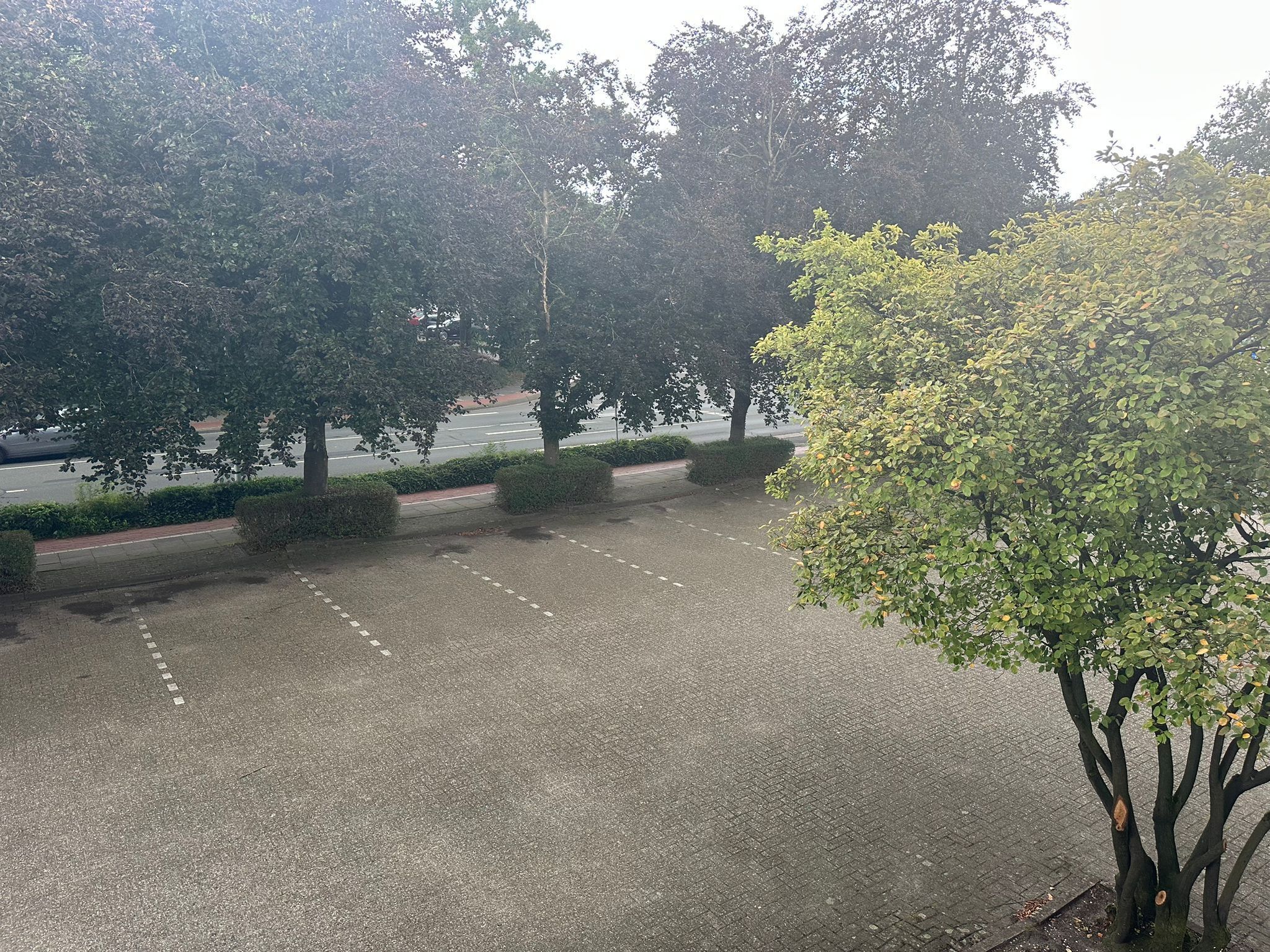 Un estacionamiento con árboles y una carretera al fondo.