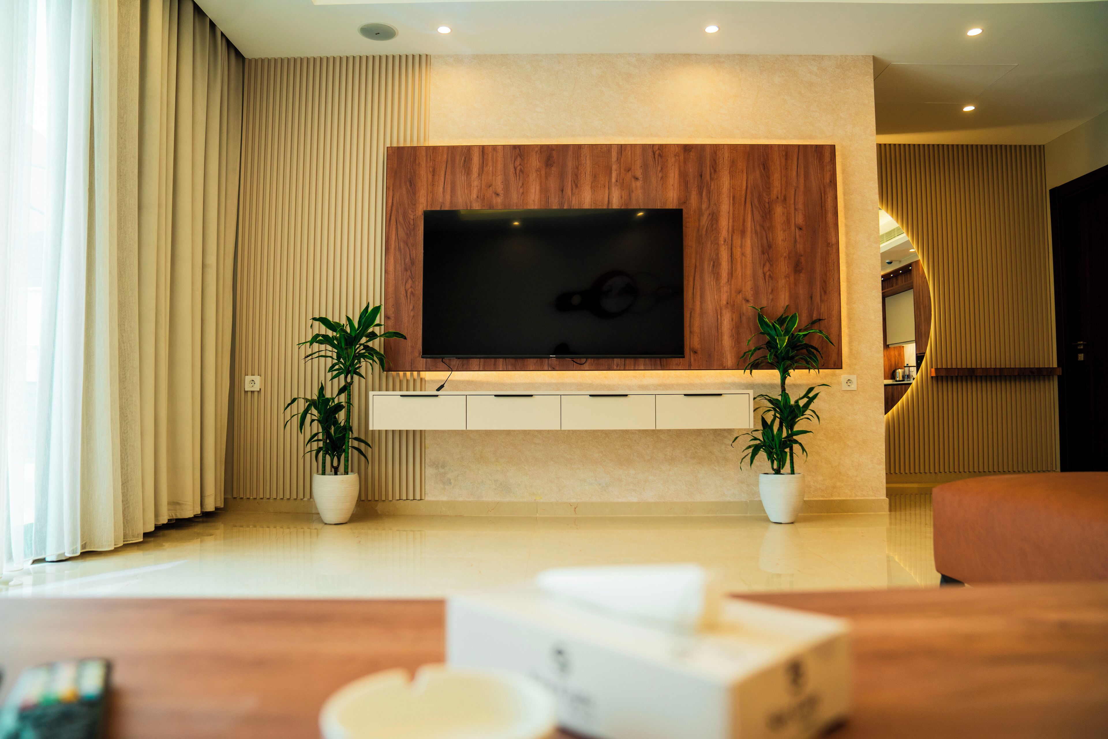 65-inch LED TV with satellite channels, first-run movies