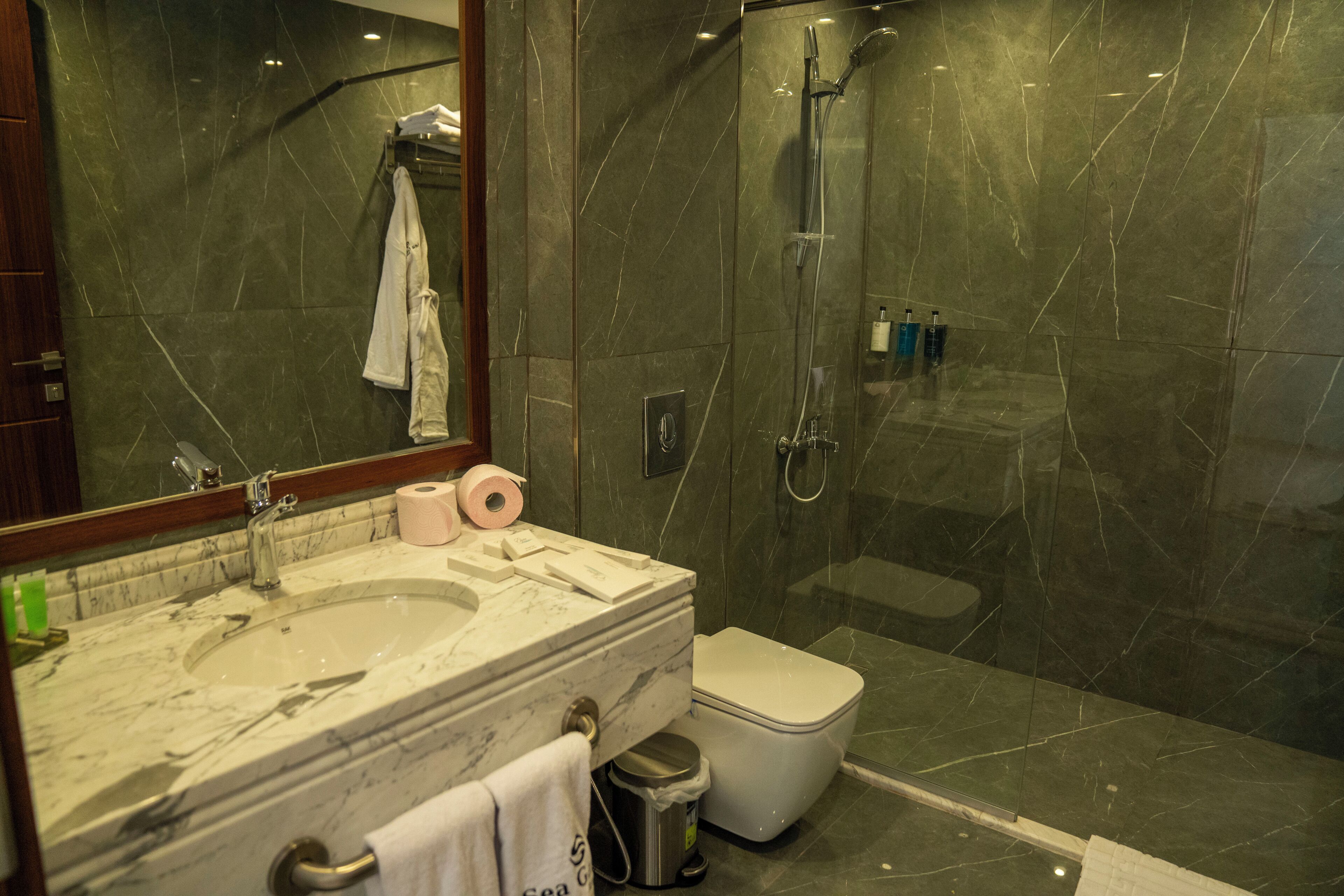 A bathroom with a marble sink, a toilet, and a glass-enclosed shower.