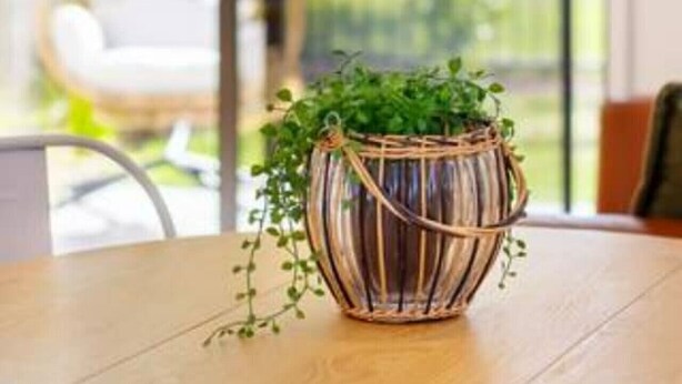 Une table ronde en bois sur laquelle repose un panier tressé contenant des plantes vertes.