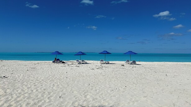 A beach with white sand and clear blue water. There are several blue umbrellas and white lounge chairs arranged on the sand.