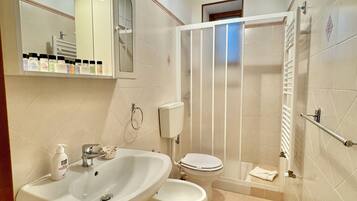 Shower, hair dryer, bidet, towels