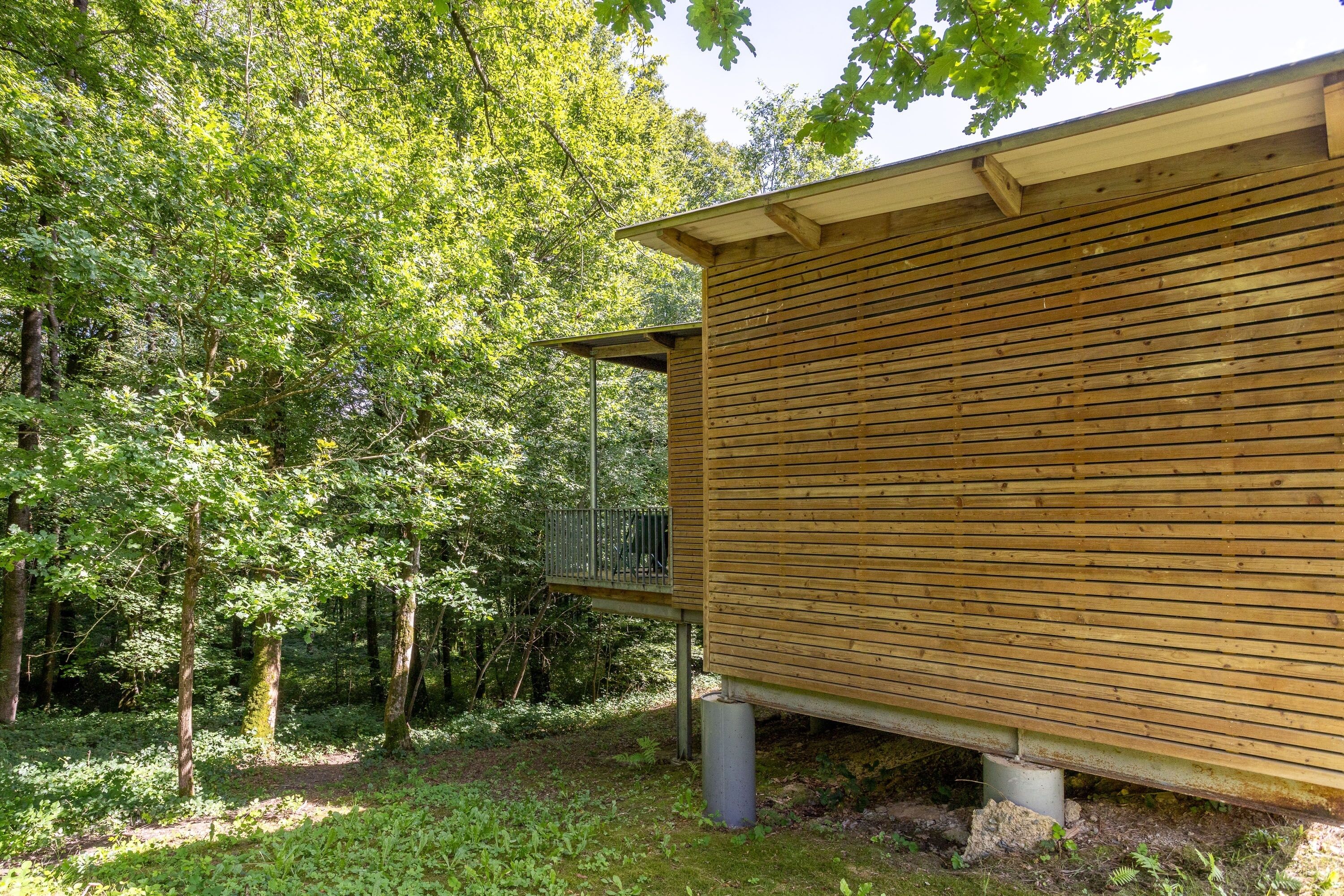 A wooden cabin with a metal deck, surrounded by dense forest.