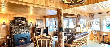 Smart TV, fireplace, DVD player, books