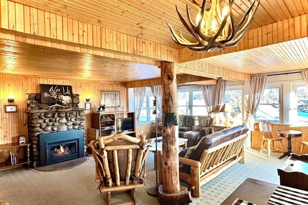 Televisor intel·ligent, llar de foc, reproductor de DVD i llibres