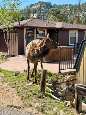 A building with a porch, a fenced area, and a mountainous background.