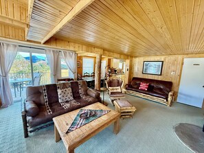 Smart TV, fireplace, DVD player, books