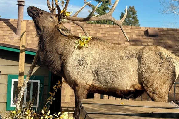 Parco della struttura