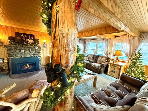 Smart TV, fireplace, DVD player, books