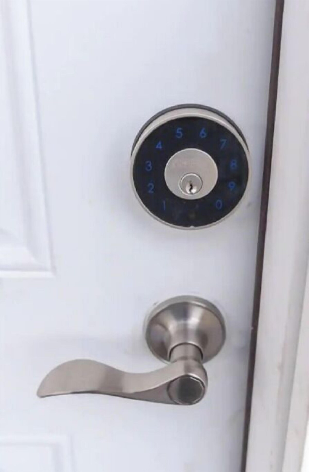 Imagen de perfil del propietario o de la propietaria