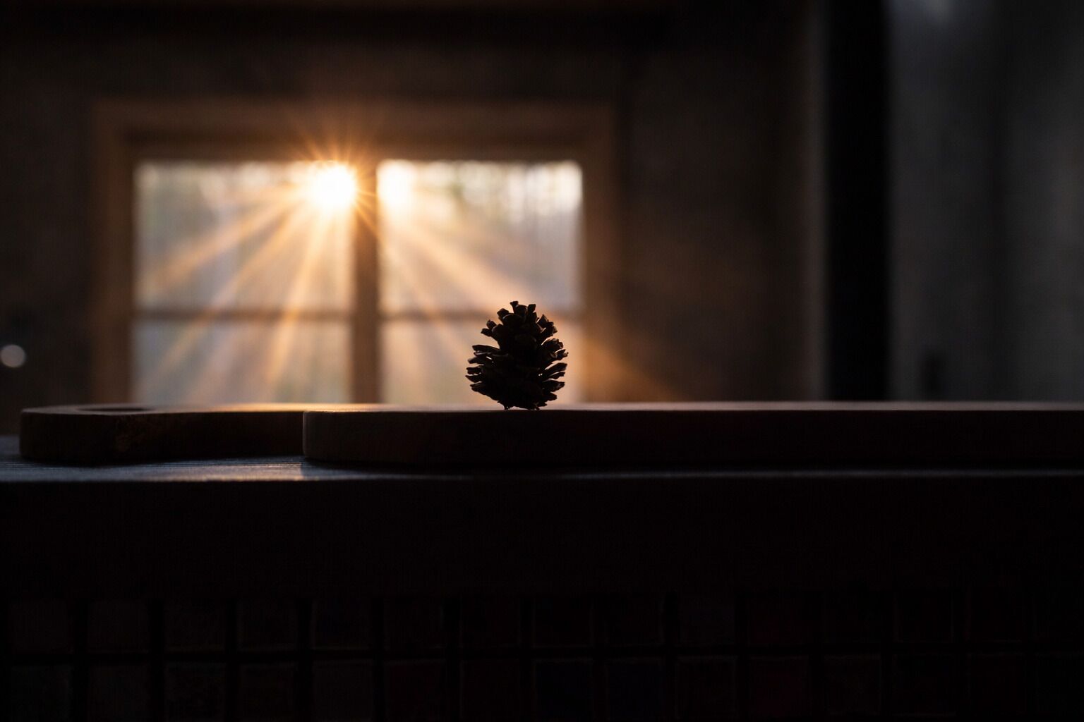 Una piña de pino sobre una superficie oscura con luz solar entrando por una ventana.