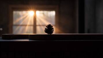 Una piña de pino sobre una superficie oscura con luz solar entrando por una ventana.